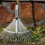 Jak przedłużyć kwitnienie roślin ogrodowych?