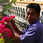 Kwiaty odporne na przymrozki – jak przedłużyć sezon kwitnienia?