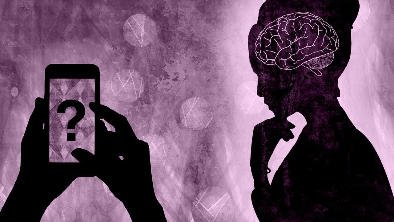 Jakie rośliny odstraszają miejskie zanieczyszczenia?