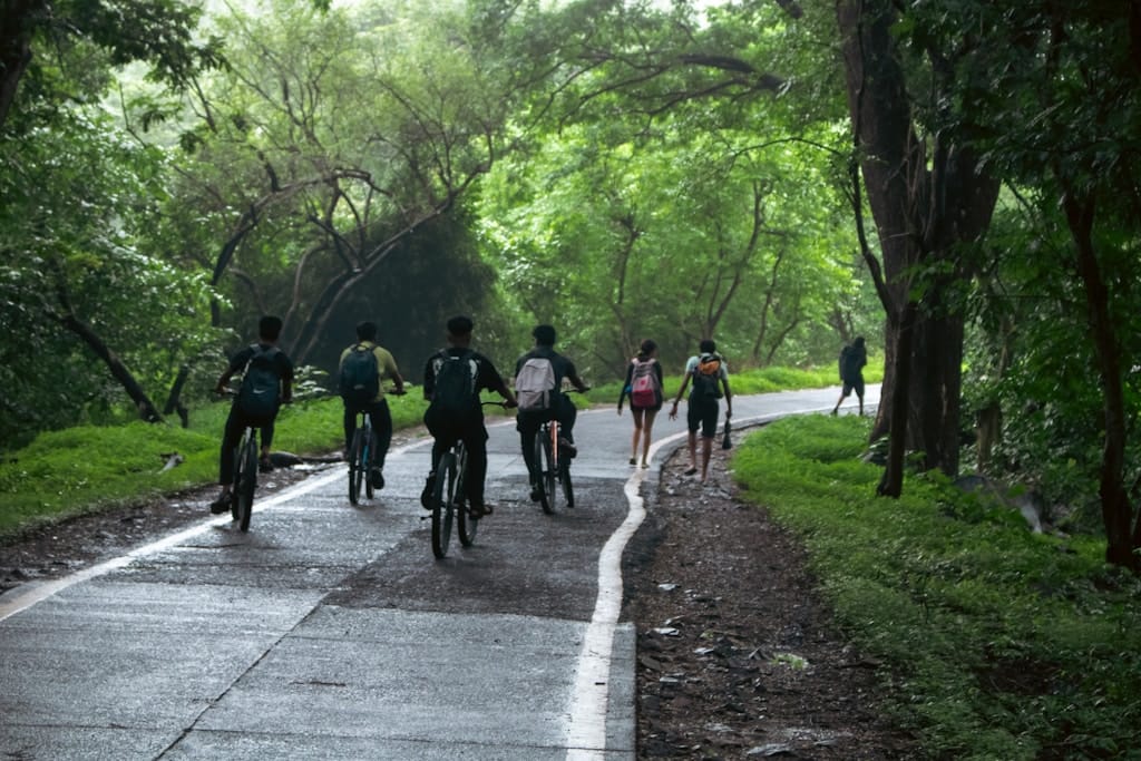 Jazda rowerem po terenach wiejskich - co należy wiedzieć?