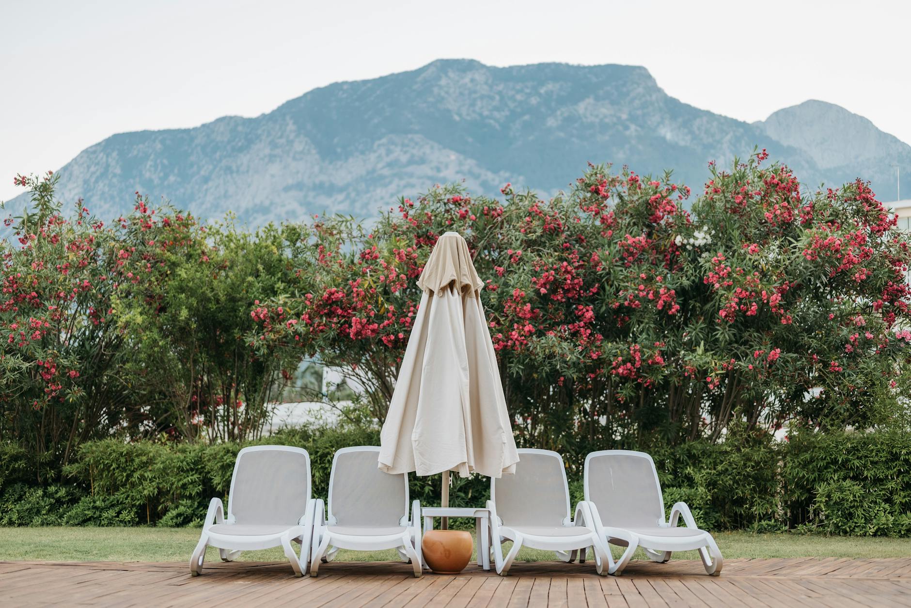 Leżaki ogrodowe na tle gór i kwitnących krzewów na słonecznym tarasie