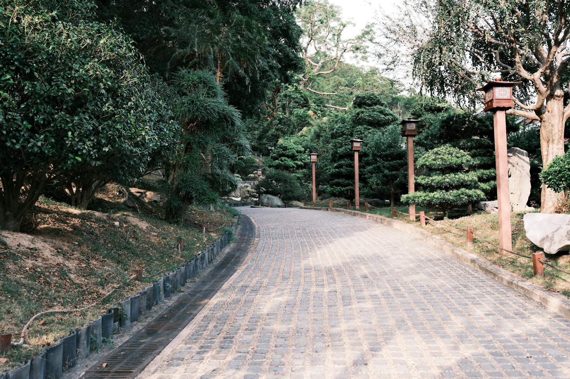 Oświetlona latarniami ścieżka ogrodowa wśród drzew przy domu