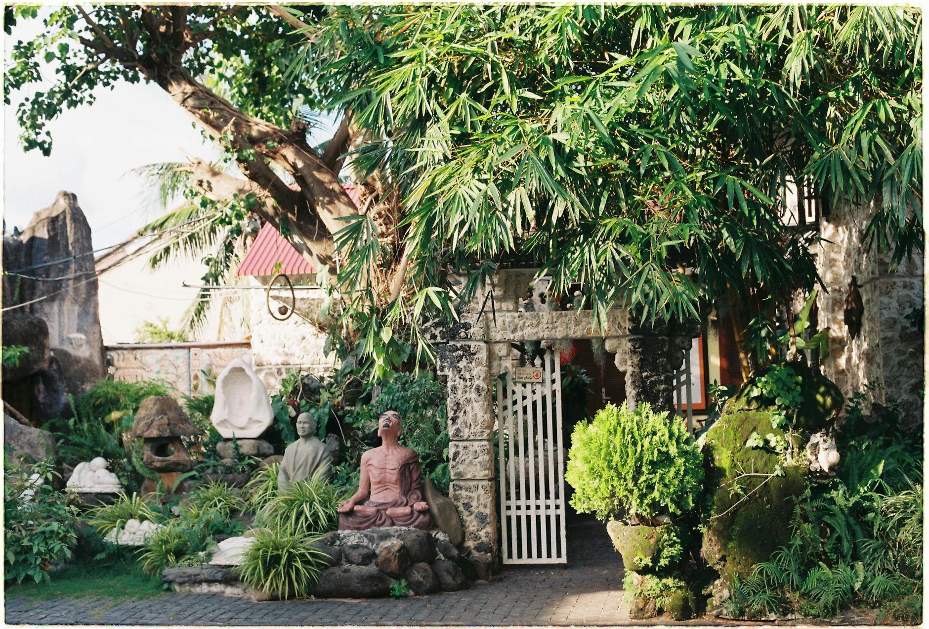 Posąg Buddy wśród gęstych bambusów w egzotycznym ogrodzie