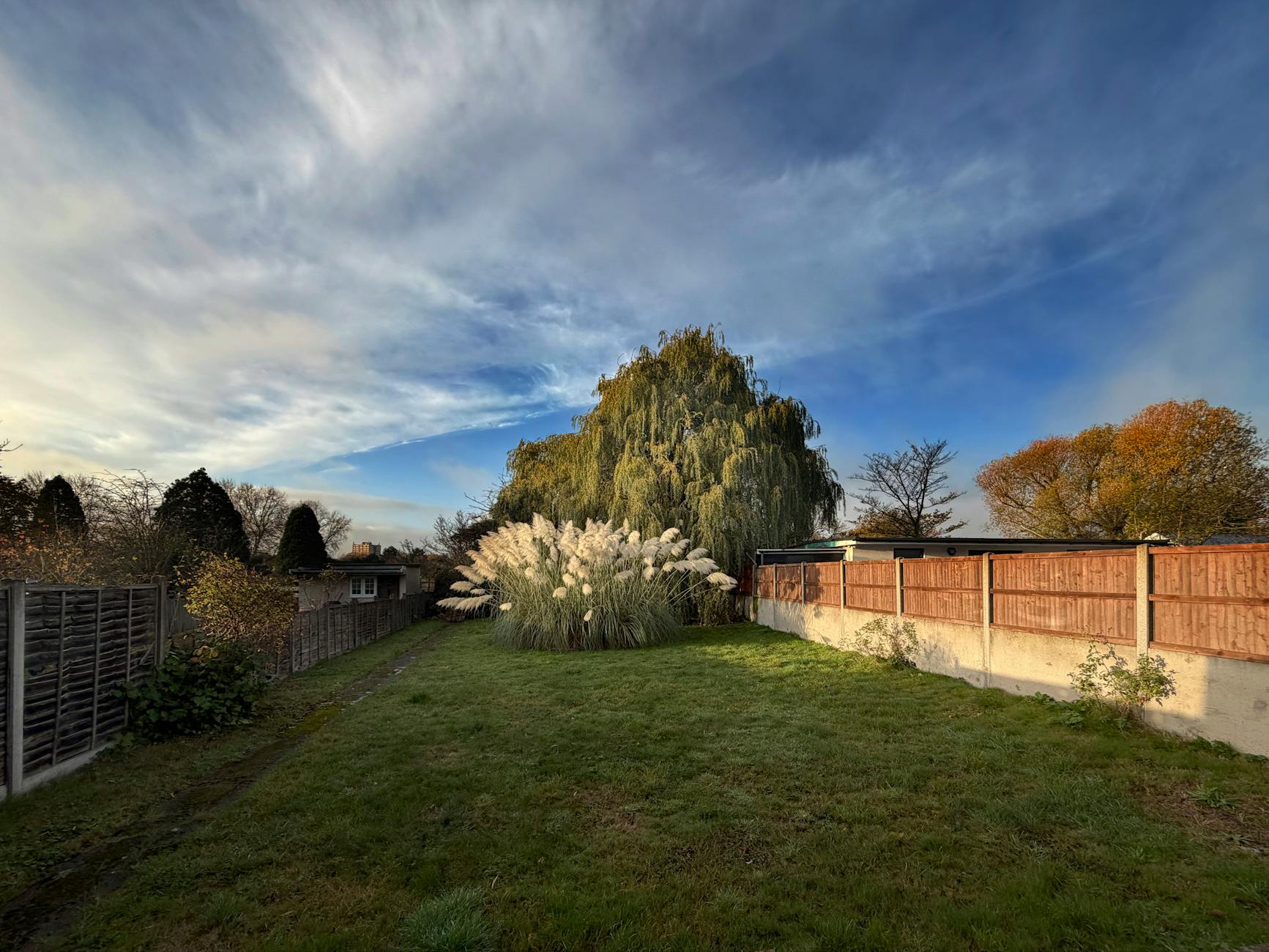 Przydomowy ogród z trawami pampasowymi na tle kolorowego nieba