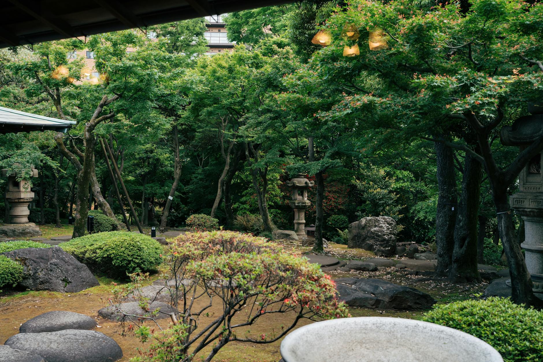 Tradycyjny japoński ogród w Tokio z bujną zielenią i stawem