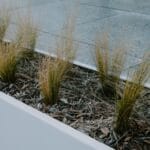 Trawa ozdobna w nowoczesnej donicy na tarasie przy domu