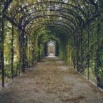 Najpiękniejsze arboreta w Polsce na weekend Zacieniona ścieżka wśród gęstej zieleni drzew w arboretum