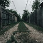 Żwirowa ścieżka ogrodowa między drewnianymi płotami i bujną zielenią