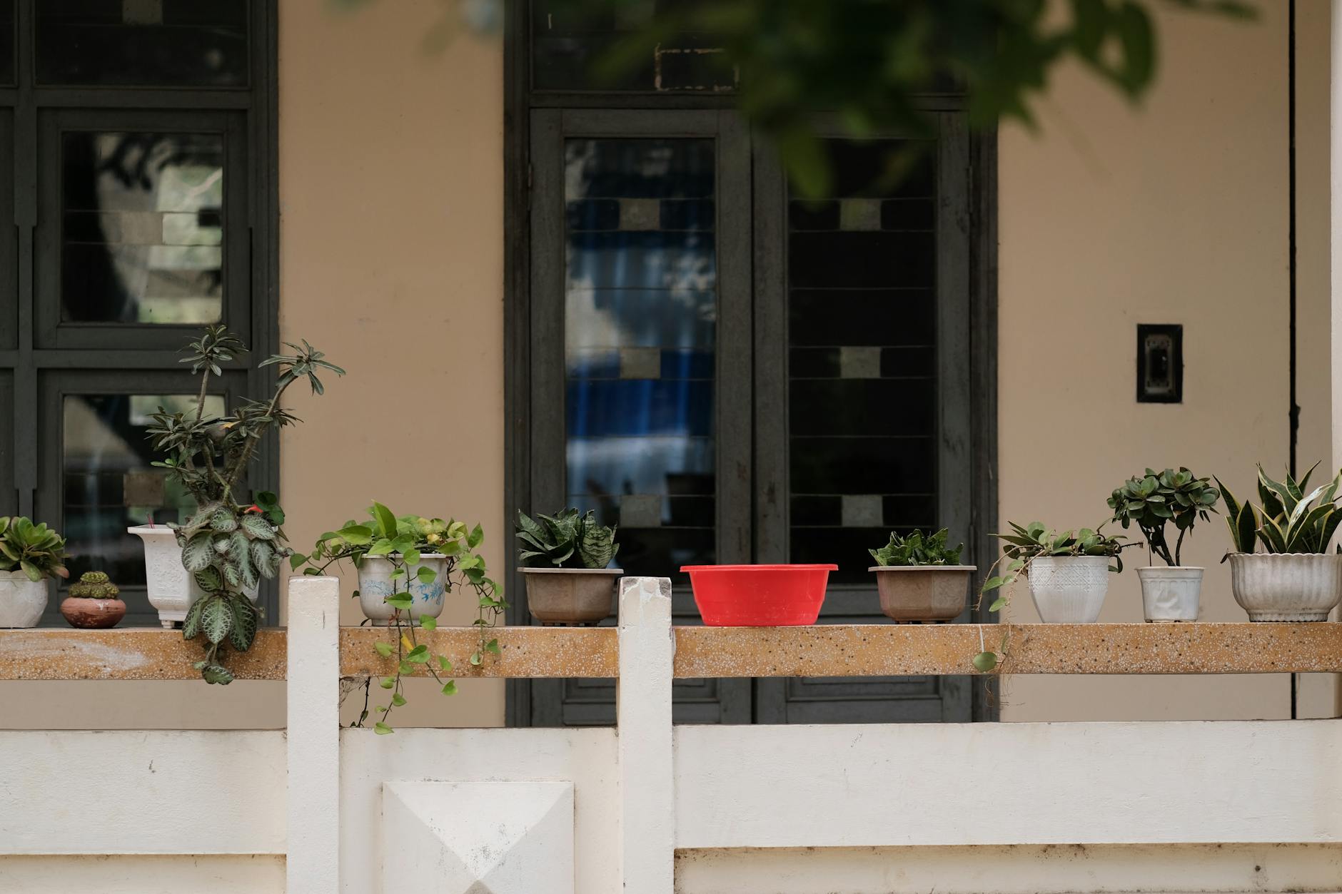 Loggia z doniczkami różnych roślin i czerwonym pojemnikiem