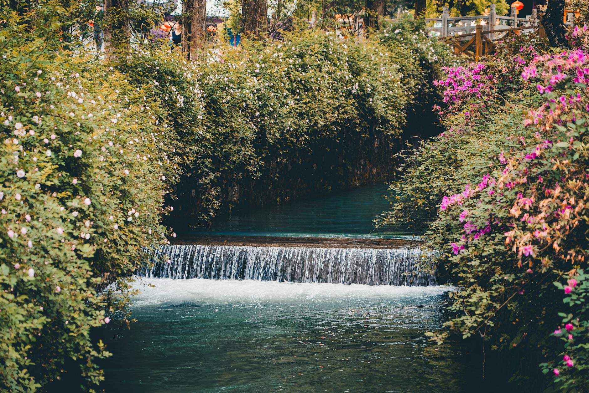 Mały wodospad w ogrodzie otoczony kwiatami i bujną zielenią