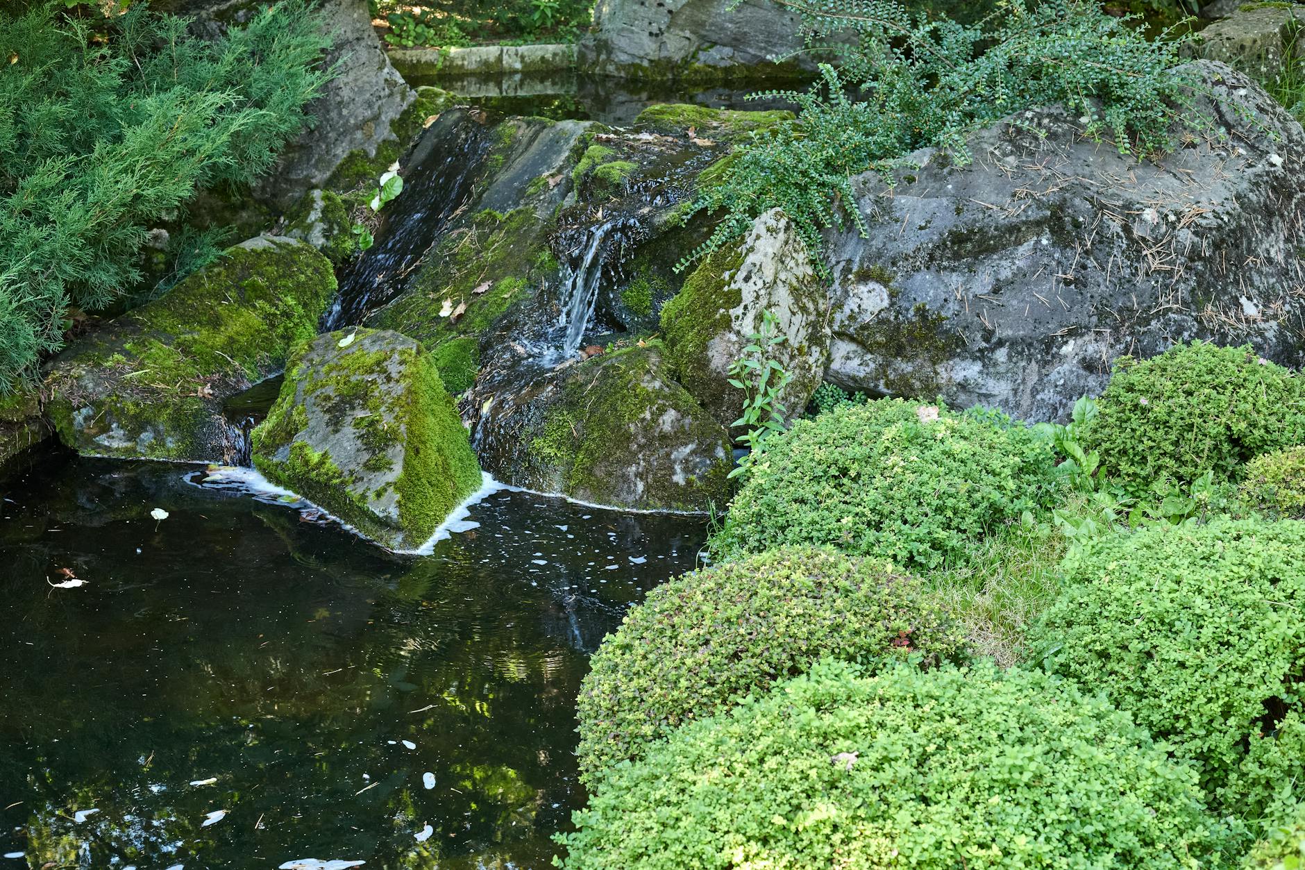 Jak prowadzić strumień w ogrodzie, żeby woda nie uciekała w ziemię Strumień w ogrodzie przepływający między kamieniami porośniętymi mchem