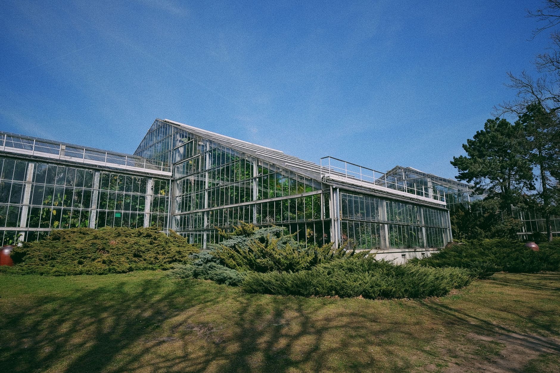 Ogrody botaniczne od kuchni: jak wygląda praca ogrodników, szklarni i kolekcji, których zwykle nie widzisz