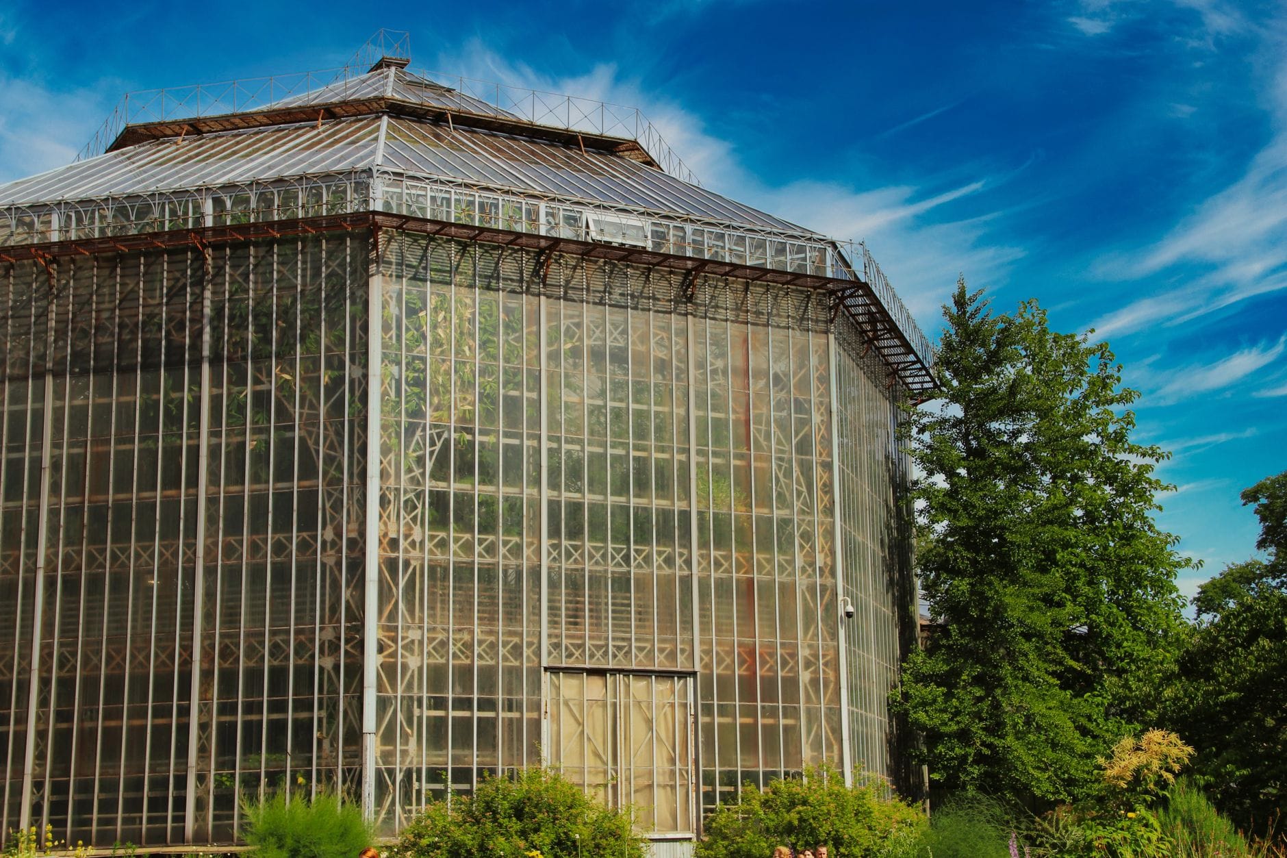 Ogrody botaniczne od kuchni: jak wygląda praca ogrodników, szklarni i kolekcji, których zwykle nie widzisz
